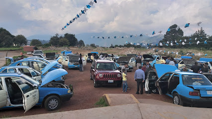 Sitio taxis central de autobuses