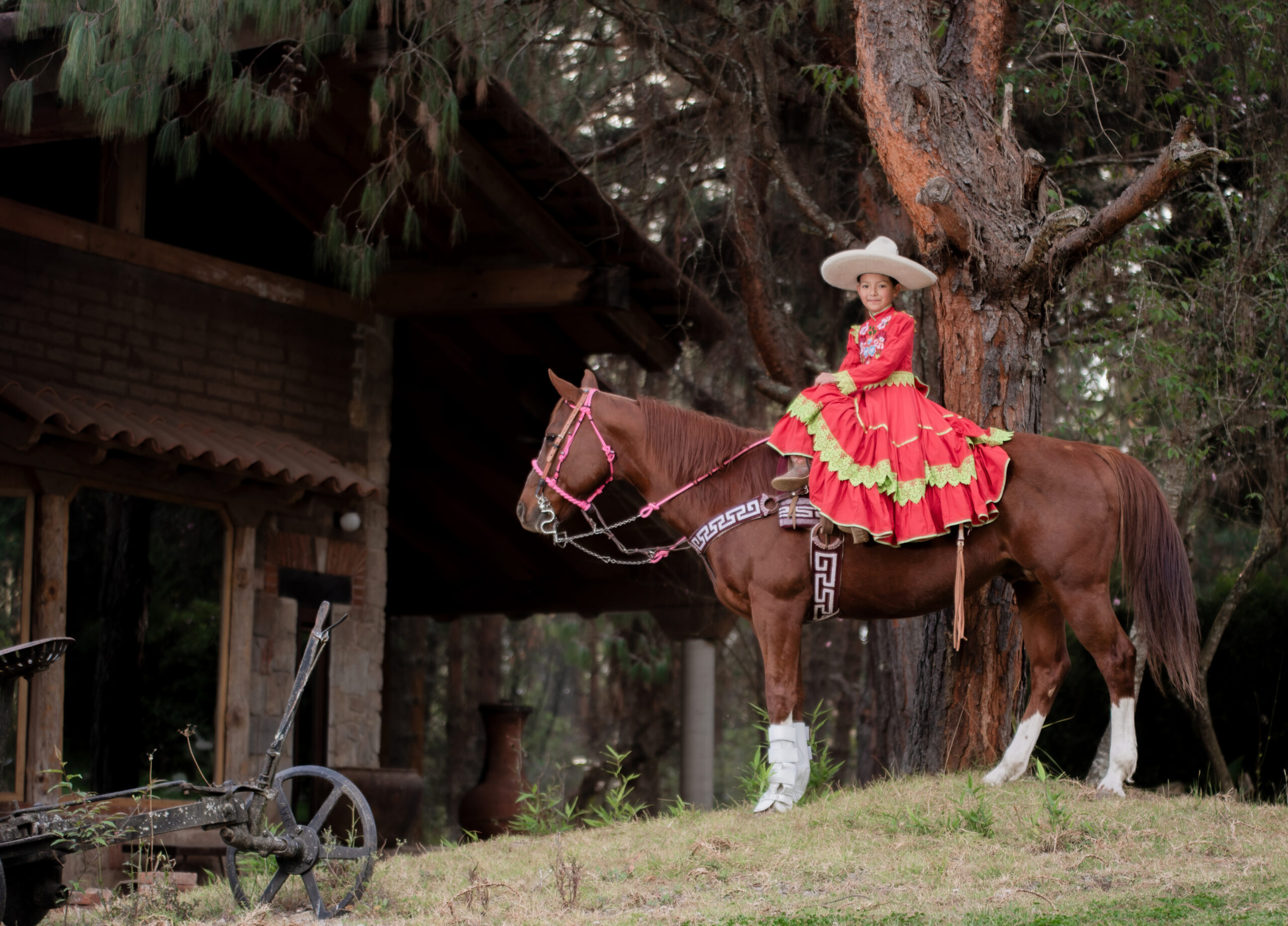 Solan Fotografía