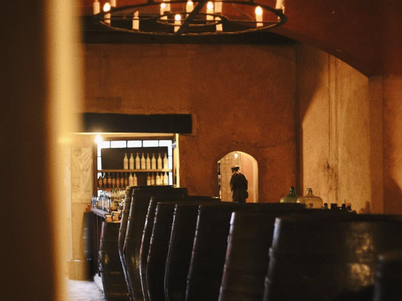Museo del Vino La Primavera